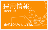 採用情報 WEBデザイナー転職 IT求人